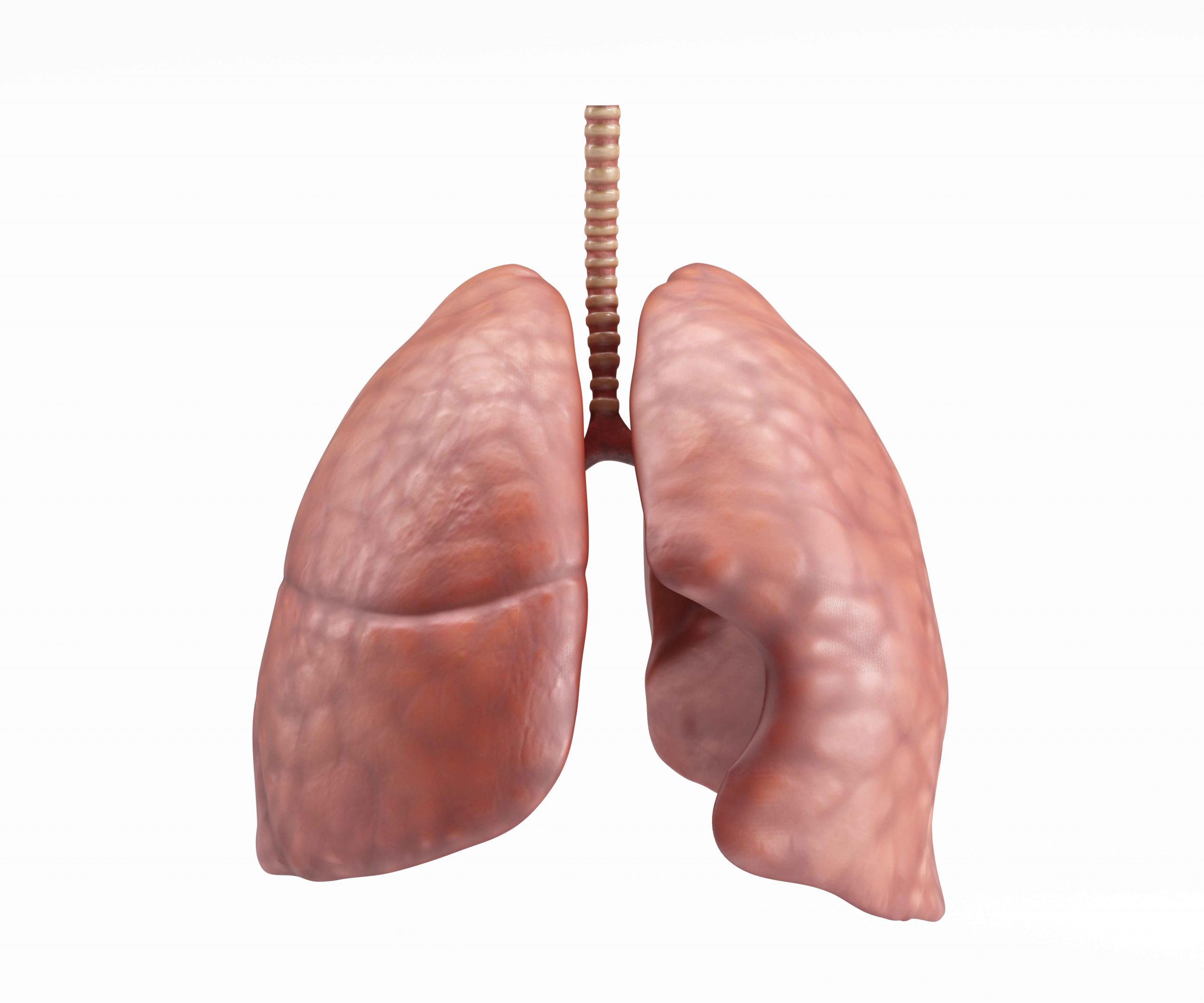 A Guide for Indian Patients Who Want to Get Better: Bronchitis