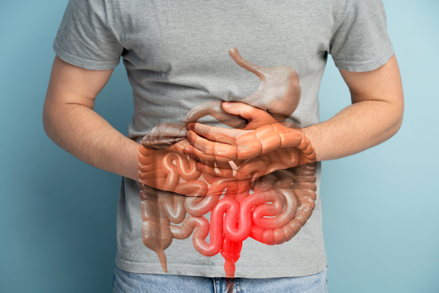 Understanding Gastroenteritis: Who Faces the Greatest Risks?