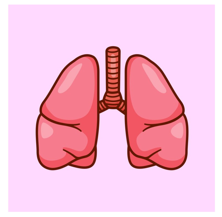 Complications and Potential Risks Associated with Lung Disease