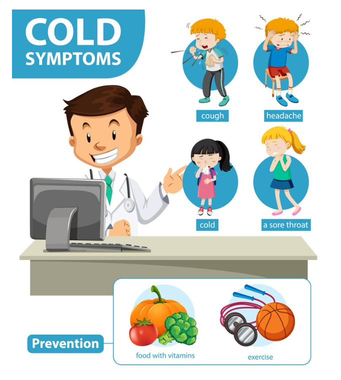 How to Support Your Immune System During Cold and Flu Season