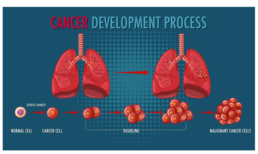 Tuberculosis Diagnosis: Methods and Challenges