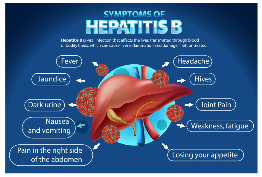 Hepatitis and Liver Health: Long-Term Implications