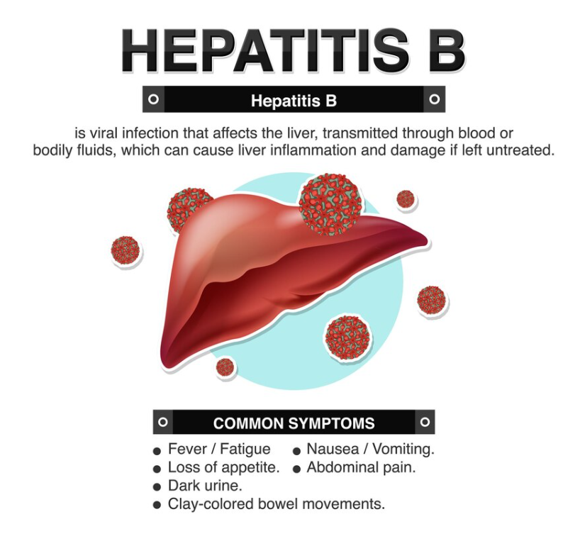 What is Hepatitis B: Understanding the Basics