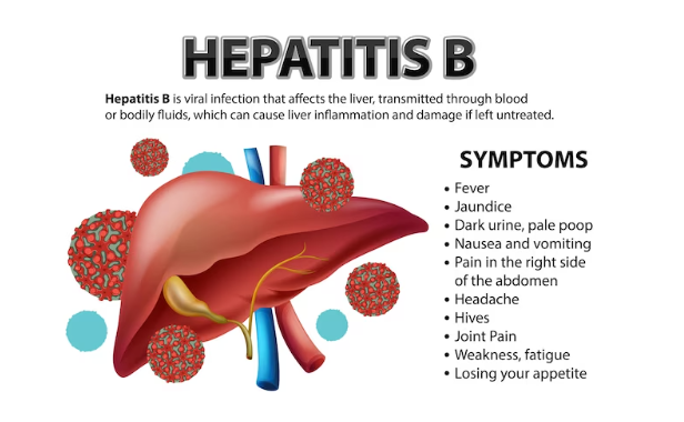 Causes and Transmission of Hepatitis B