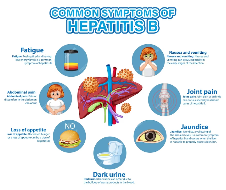 Signs and Symptoms of Hepatitis B Infection