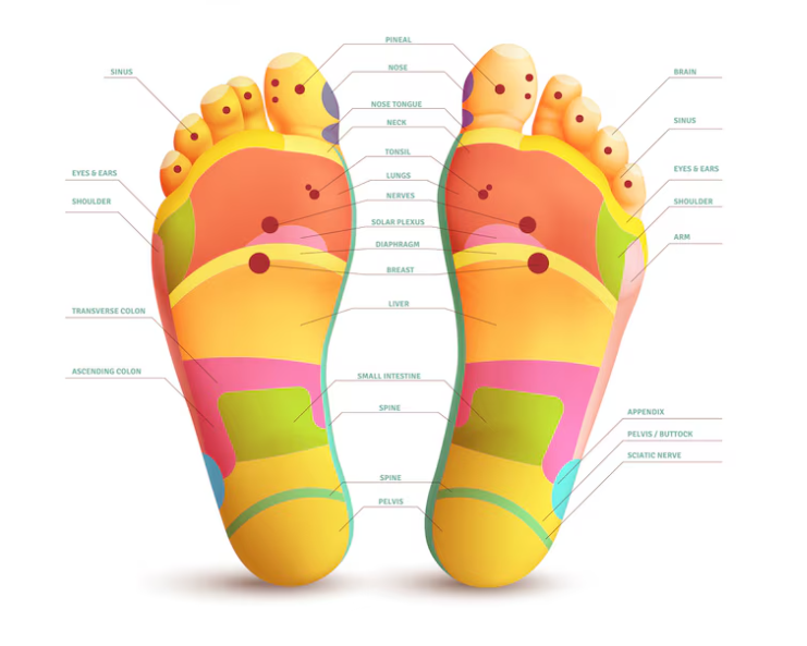 The Role of Hormones in Understanding Diabetic Foot: Causes, Symptoms, and Risk Factors