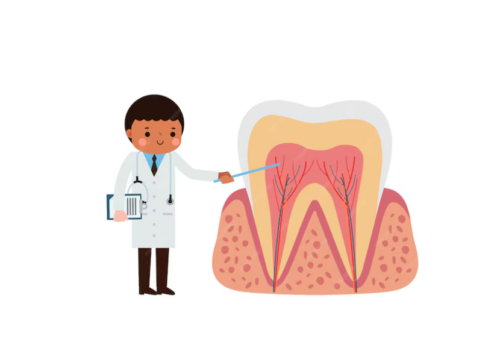 Understanding the Stages of Gum Disease: From Gingivitis to Advanced Periodontitis