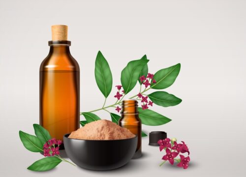 Natural Remedies for Oral Thrush: Probiotics, Essential Oils, and Herbal Treatments